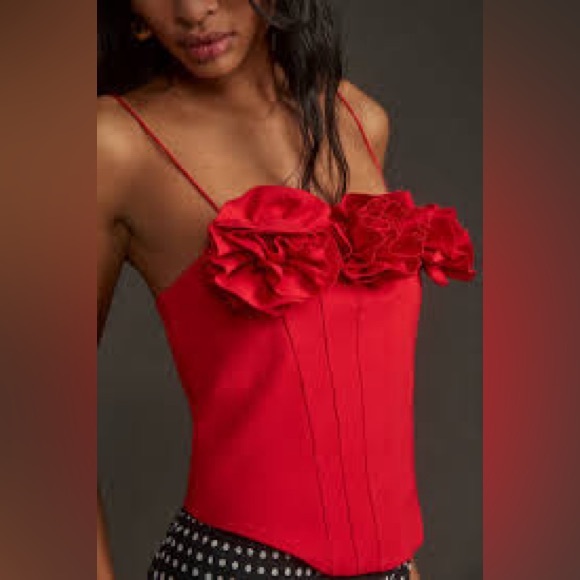 Anthropologie Tops - Anthropologie Sunday in Brooklyn corset top